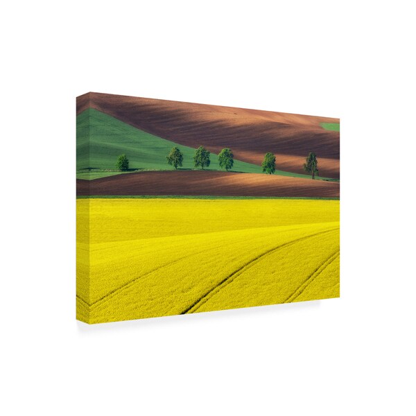 Ales Komovec 'Yellow' Canvas Art,16x24